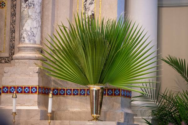 Palm Sunday at Sacred Heart Church in Salisbury. (Troy C. Hull)